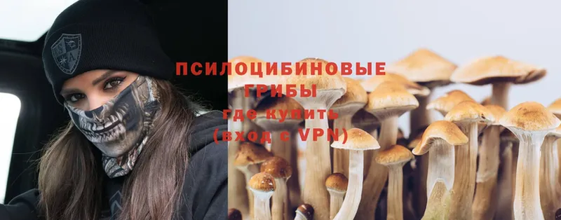 OMG ССЫЛКА  где продают наркотики  Карасук  Галлюциногенные грибы Magic Shrooms 